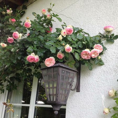Le Petit Val Rose Villa Villennes-sur-Seine Ngoại thất bức ảnh
